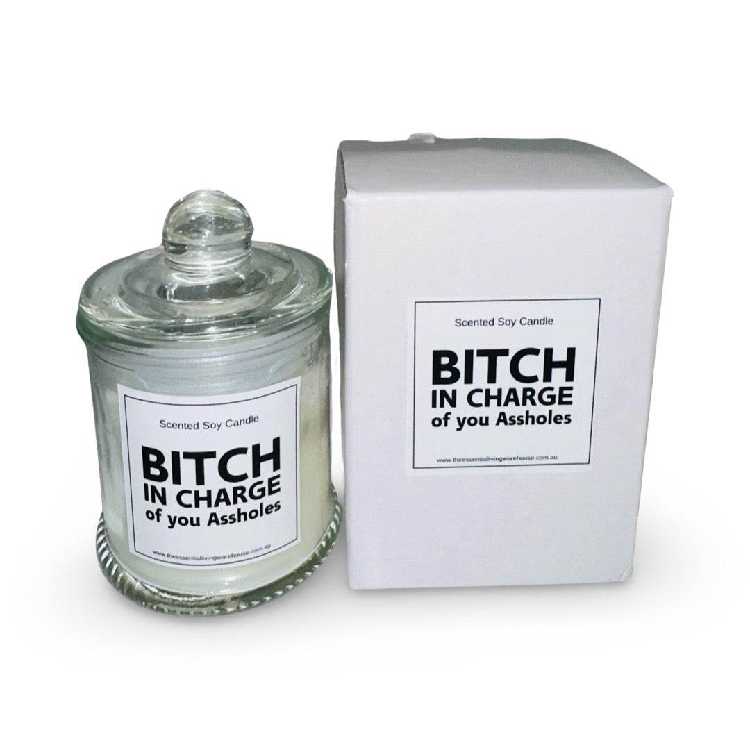 B*tch In charge of You As*holes Small Soy Candle