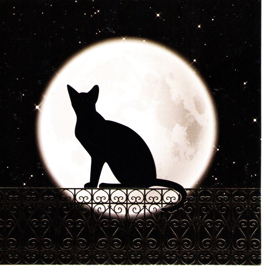 Triskele Arts Card- Full moon cat